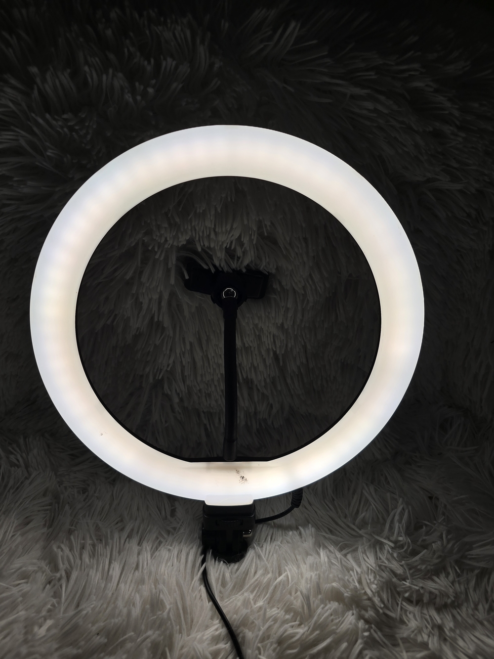 LED Ring Light with Phone Mount - White